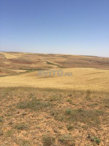 أرض محفظة للبيع - 2