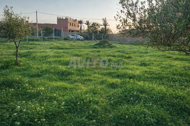 بيع أرض عارية بمساحة 2763 م² في مراكش