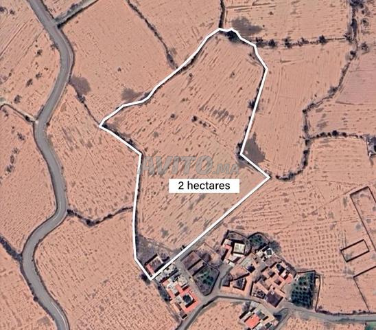 Terrain 2 Hectares à vendre à Issen – Oulad Teima