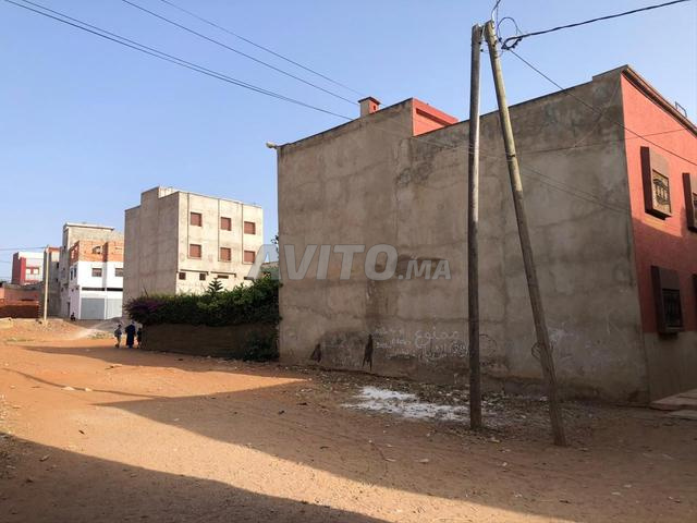 أرض محفظة ومسجلة للبيع بسيدي الطيبي - 2