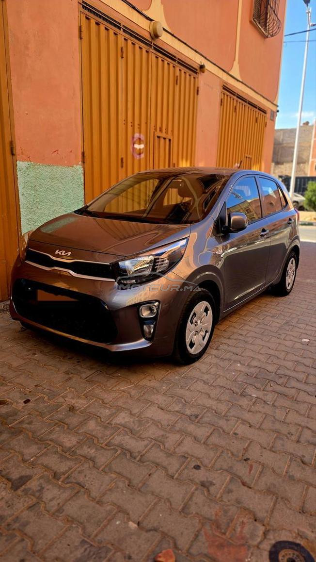 picanto  2023 