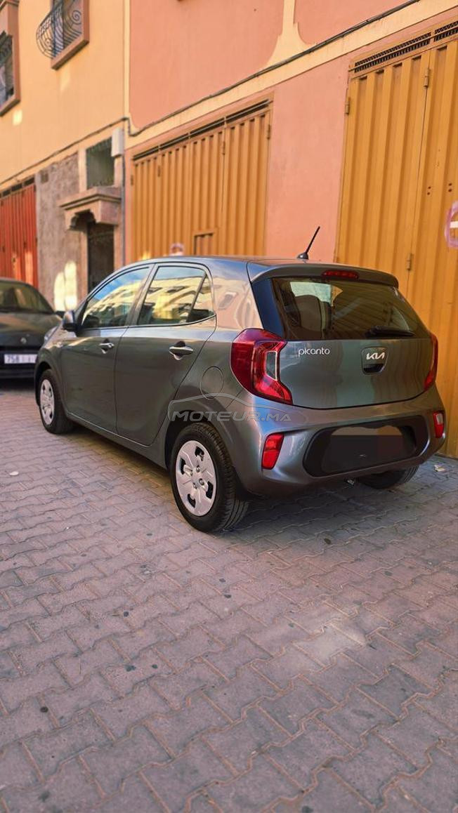picanto  2023 