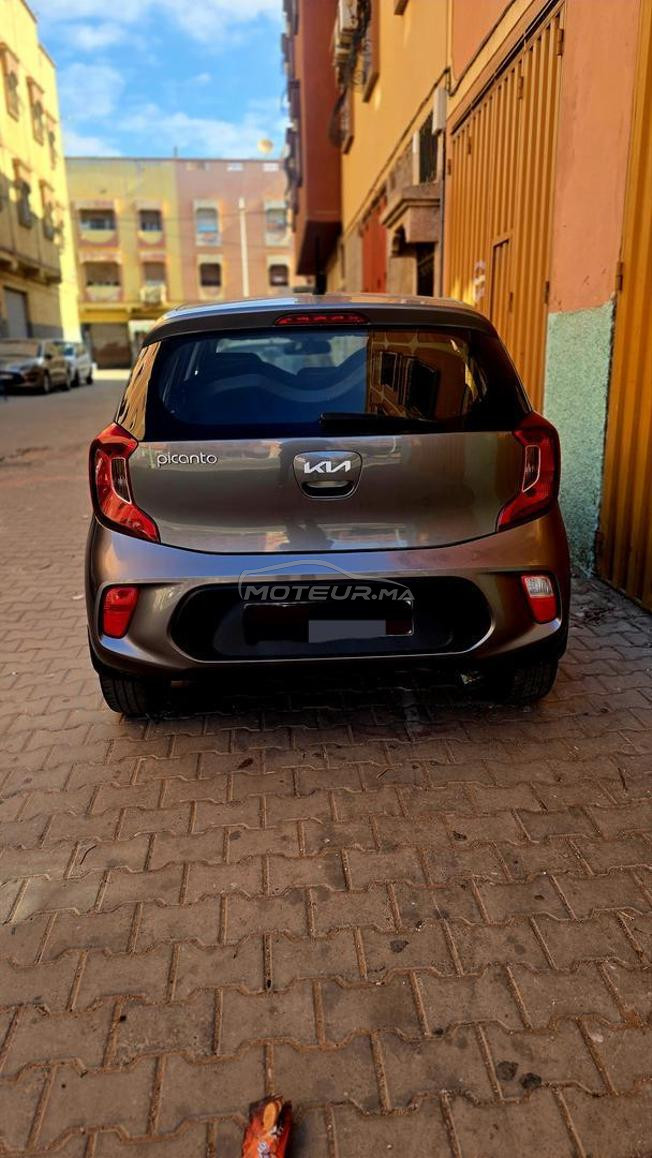 picanto  2023 