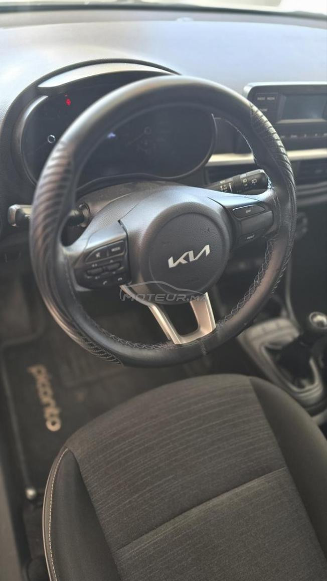 picanto  2023 