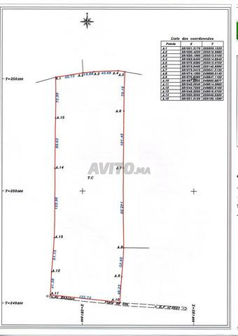 Vente de 2 terrains agricoles à Khemisset Chaouia - 2