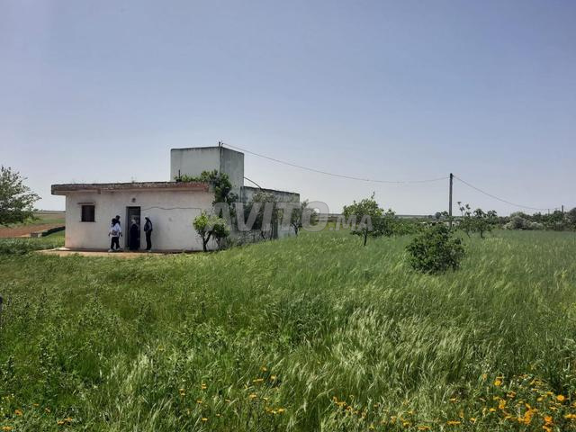 Ferme titre 5ha Sehoul Salé