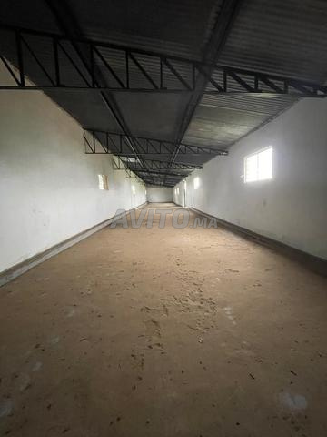 Espace logistique complet avec deux entrepôts fermés - 2