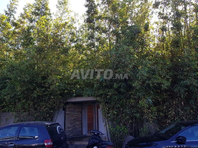 Villa de luxe usage bureau Sidi Maârouf - 2