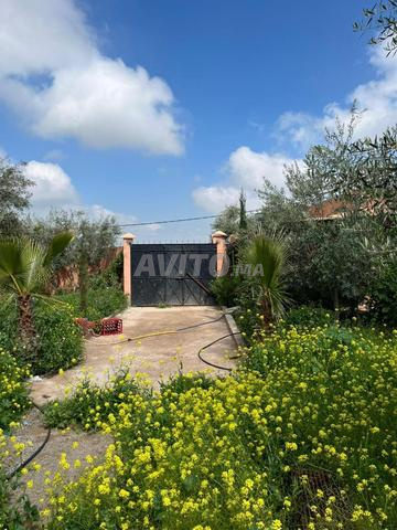 Magnifique ferme Melkia à vendre à Sidi Bouyahya - 2