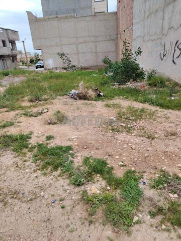 ريد1 وجدة - 2