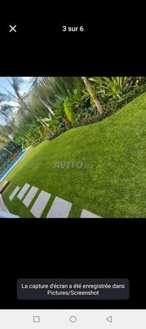 Jardinage Tanger - 2