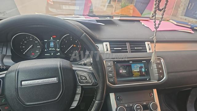 Adam Ibrahim - 2