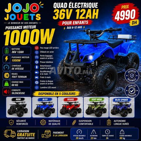 QUAD ÉLECTRIQUE 36V 1000W POUR ENFANTS