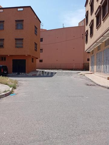 Mahamid SAS 133 mètres - 2