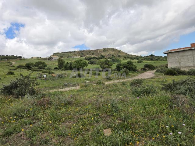 أرض للبيع قرب معمل رونو طنجة - 2