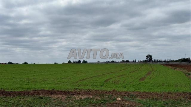 Vente de terrains bien situés à Tnine Chtouka - 2