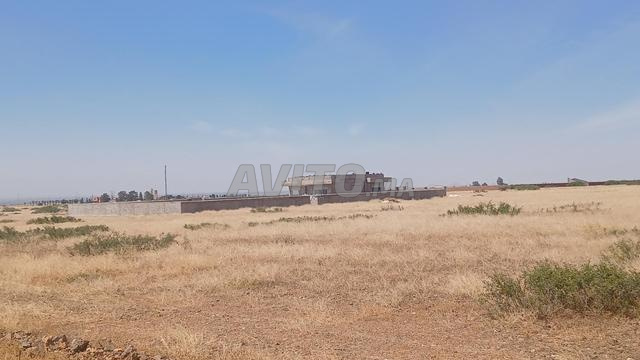 Terrain melkia sur la route - 2