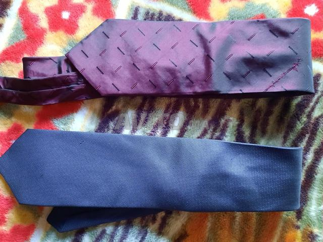2 cravates Hugo Boss - 2