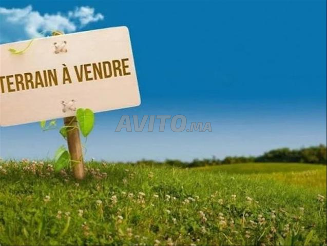 Terrain de 4000 m2 à Skhirat / Route goudronnée 10m
