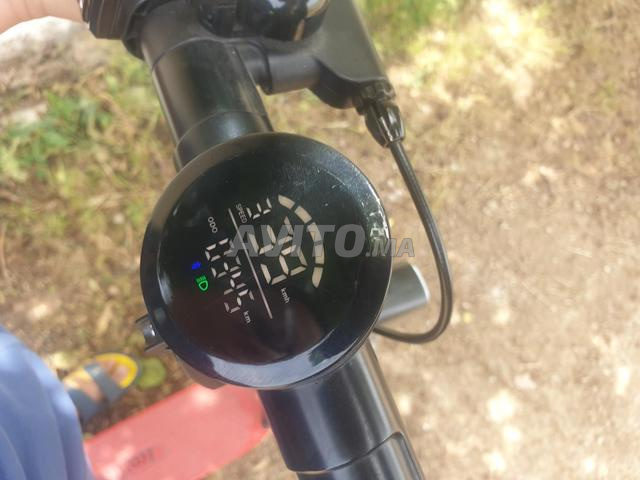 Trottinette électrique EcoXtreme linéaire - 2