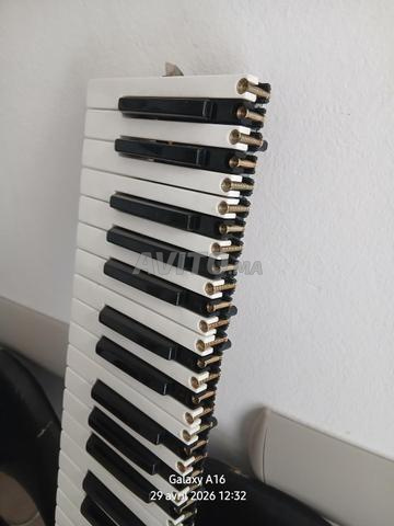 Orgue Korg - 2