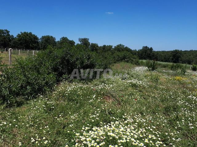Terrain Agricole titre mère