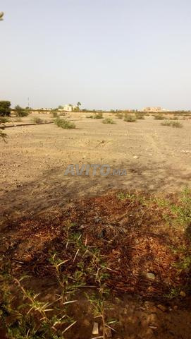 Terrain à Vendre de 200m² à Marrakech - 2