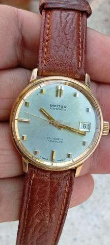 Incitus Swiss.Targa - 2