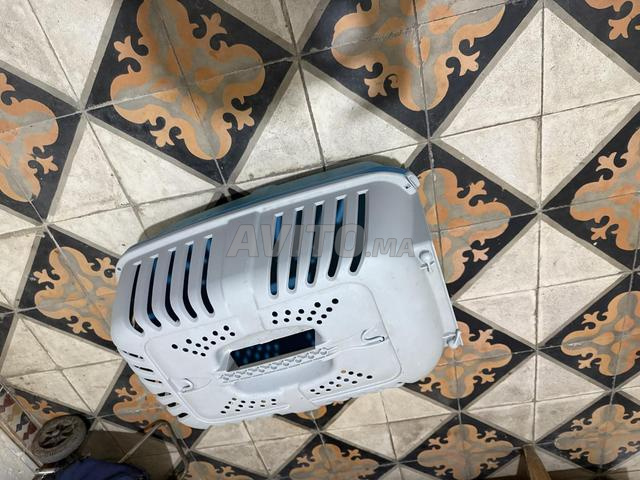Cage pour chat et petit chien - 2