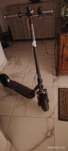 Trottinette à vendre - 2