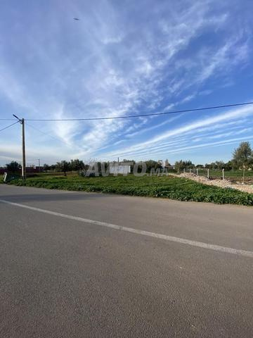 Terrain avec petite maison sur la route, superficie 1200 mètres