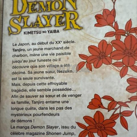 Démon slayer tome 1 - 2