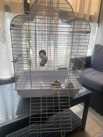 Cage à vendre - 2