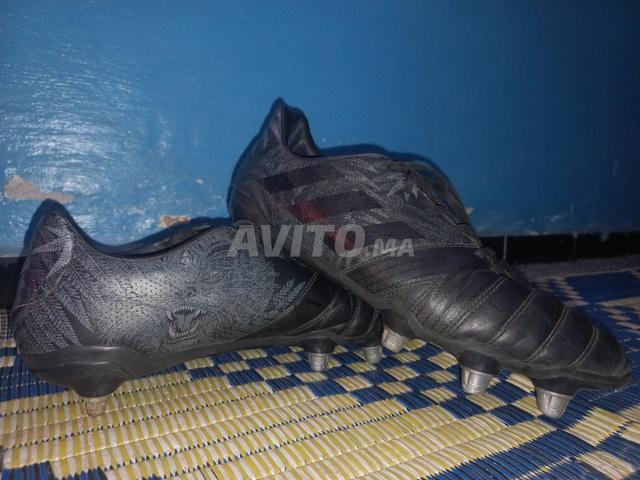 Taille 43