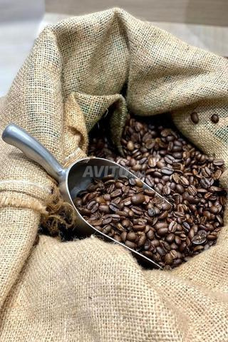 Excellents grains de café Arabica Arabica - 2