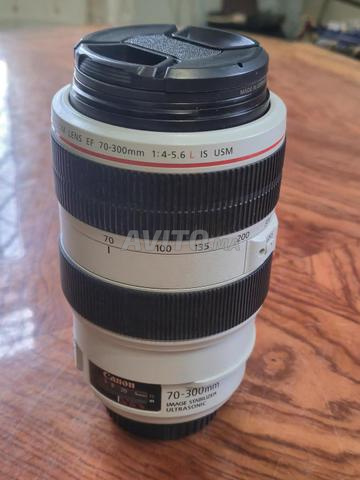 كانون 70-300 L f4 IS - 2