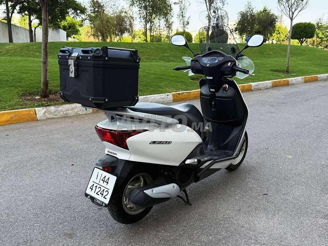 Honda Lead 110 - 2