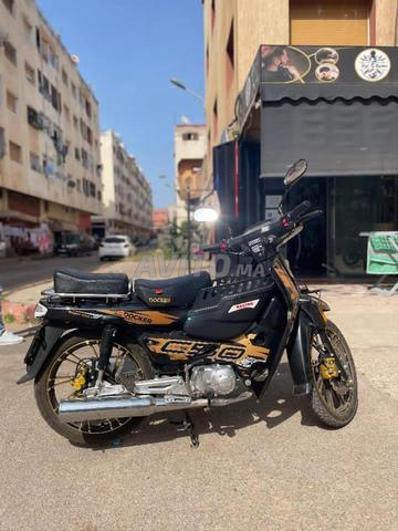 C50 موديل 2025 - 2