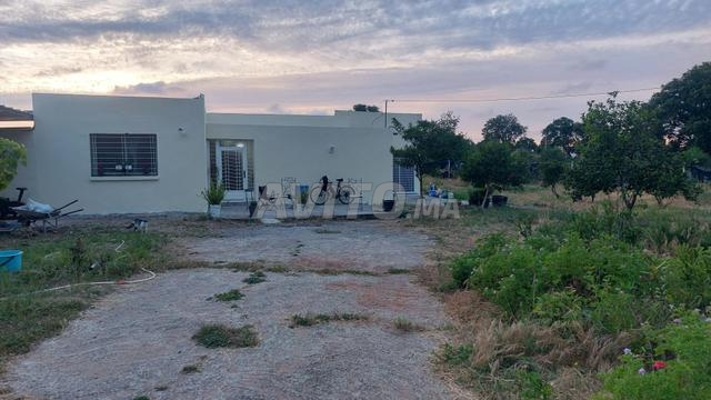 Maison à louer sur 800 m² à El Menzeh - 2