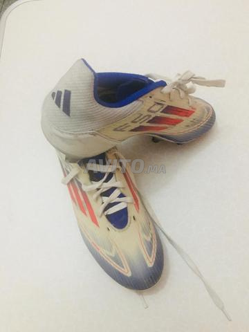 F50✨original - 2