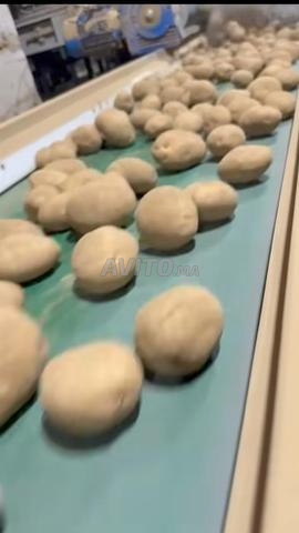 Pommes de terre pour friture en gros - 2