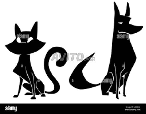RÉSERVER POUR LA PENSION DE VOTRE CHAT CHIEN
