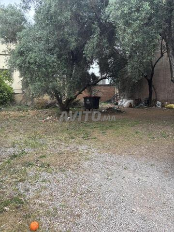 Terrain premium pour villa 296m² Route d’Imouzzer - 2