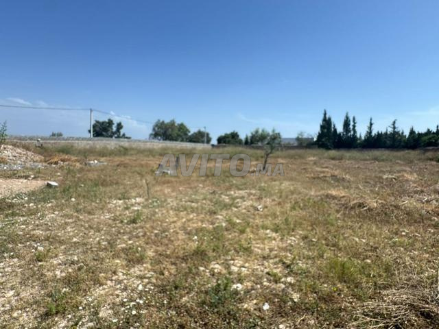 Bouzma Route El Hararta - 2
