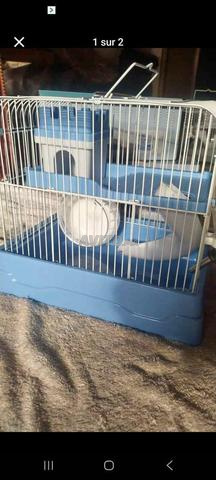 Cage à hamster - 2