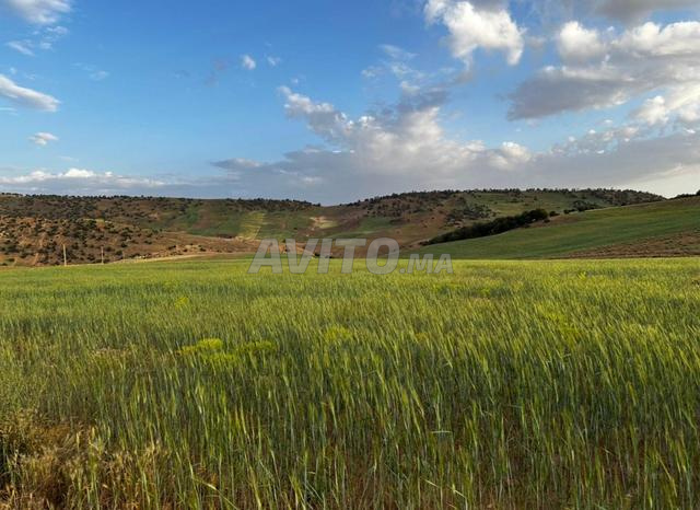 6.5 HA agricole et commercial - route goudronnée - 2