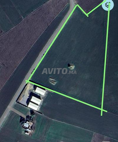 Terrain agricole titré de 31 000 m² à vendre