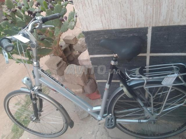 Vélos dame Gazelle
