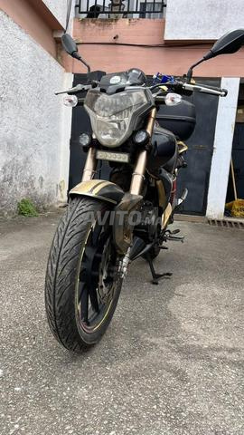 Benelli Vlx - 2