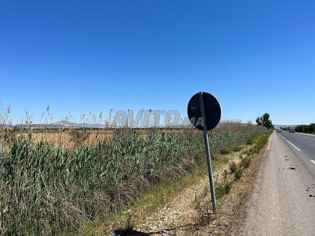 TERRAIN AGRICOLE 5.3 HECTARES - 2